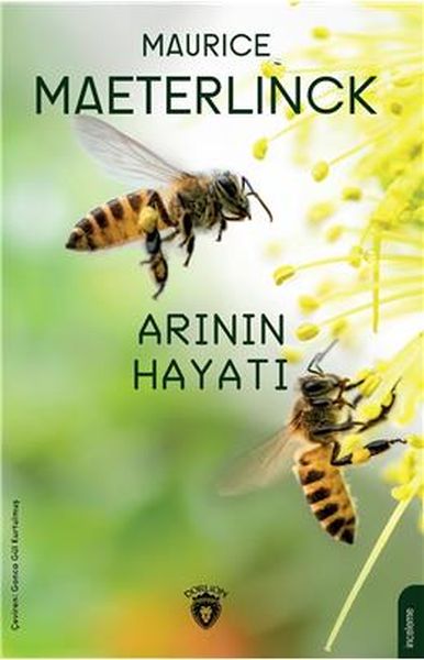 arinin-hayati