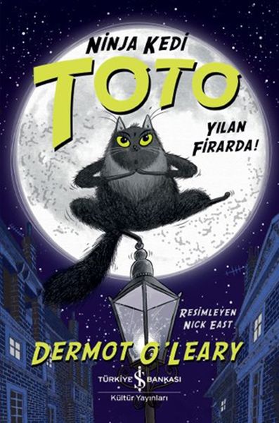 yilan-firarda-ninja-kedi-toto