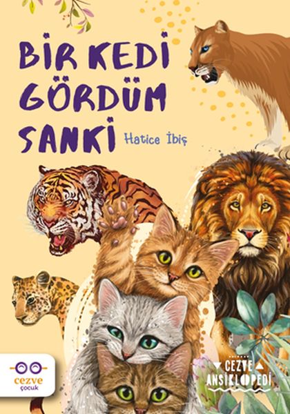 bir-kedi-gordum-sanki