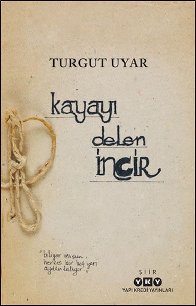 kayayi-delen-incir