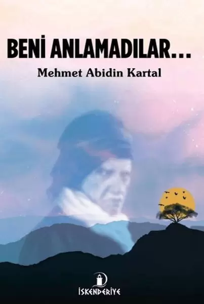 beni-anlamadilar