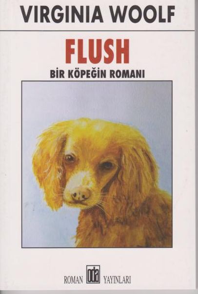 flush-bir-kopegin-romani