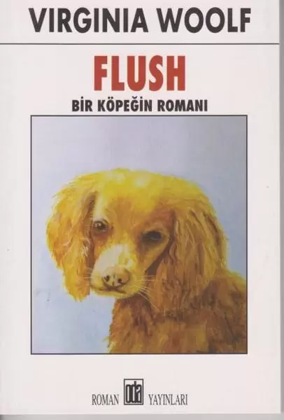 flush-bir-kopegin-romani