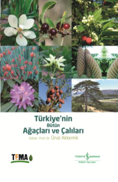 turkiyenin-butun-agaclari-ve-calilari