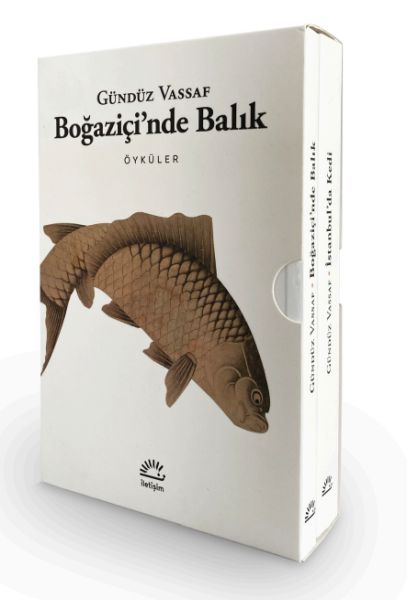 bogazici-nde-balik-istanbul-da-kedi-2-kitap-kutulu-set