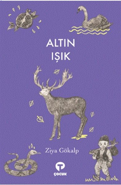 altin-isik-81332