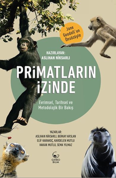 primatlarin-izinde-evrimsel-tarihsel-ve-metodolojik-bir-bakis-229294
