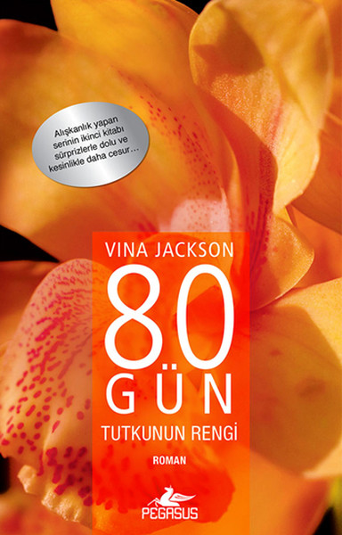 80-gun-tutkunun-rengi