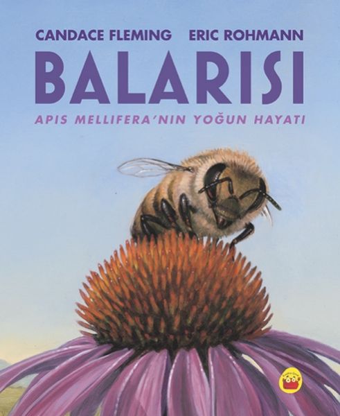 balarisi-109433