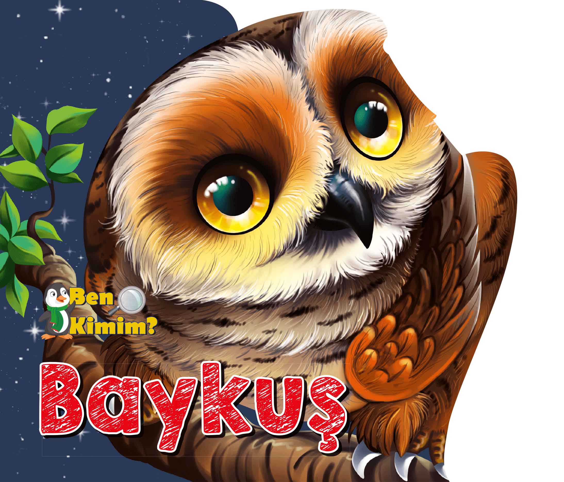 ben-kimim-baykus