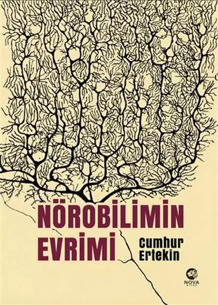 norobilimin-evrimi