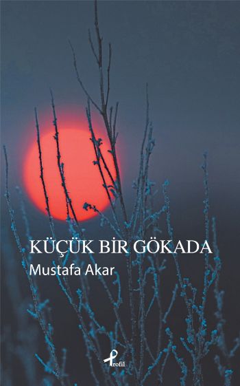 kucuk-bir-gokada