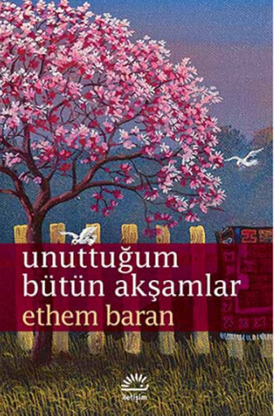 unuttugum-butun-aksamlar