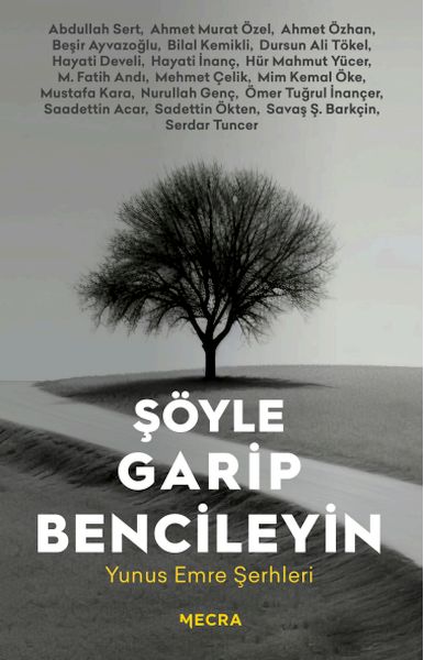 soyle-garip-bencileyin