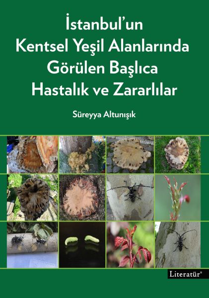 istanbul-un-kentsel-yesil-alanlarinda-gorulen-baslica-hastalik-ve-zararlilar