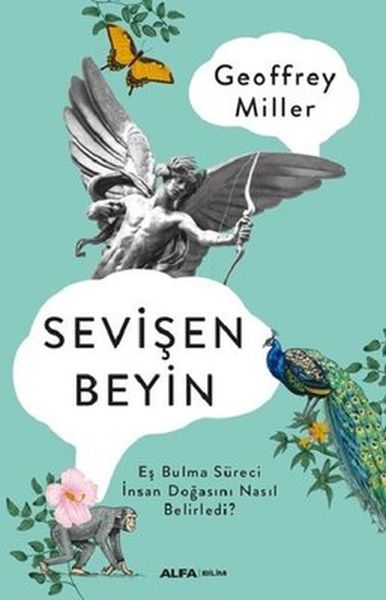 sevisen-beyin