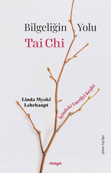 bilgeligin-yolu-tai-chi-227649