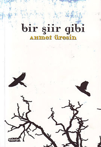 bir-siir-gibi