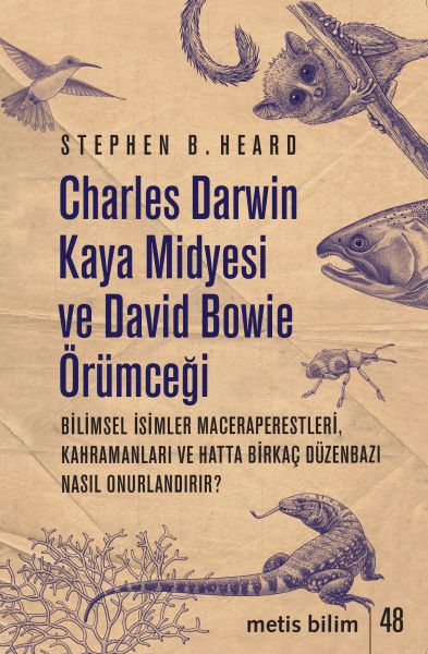 charles-darwin-kaya-midyesi-ve-david-bowie-orumcegi