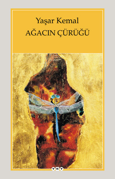 agacin-curugu