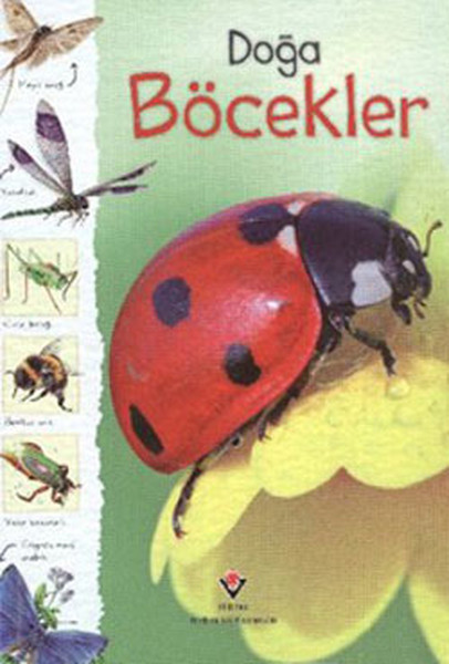 doga-bocekler