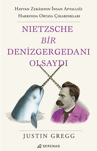 nietzsche-bir-denizgergedani-olsaydi