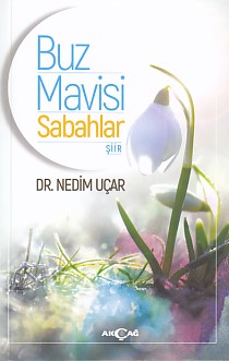 buz-mavisi-sabahlar