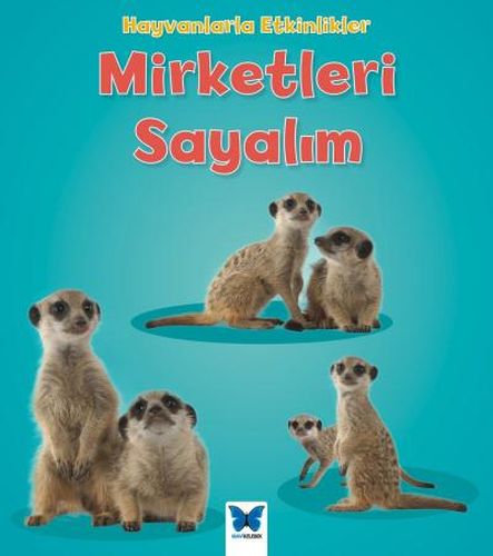 hayvanlarla-etkinlikler-mirketleri-sayalim