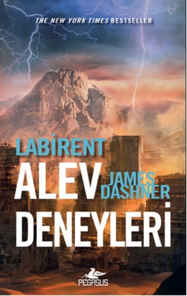 labirent-alev-deneyleri