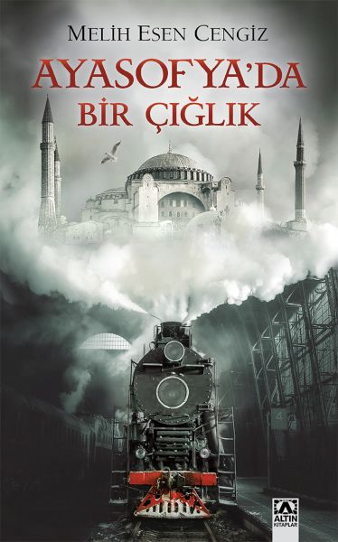 ayasofya-da-bir-ciglik