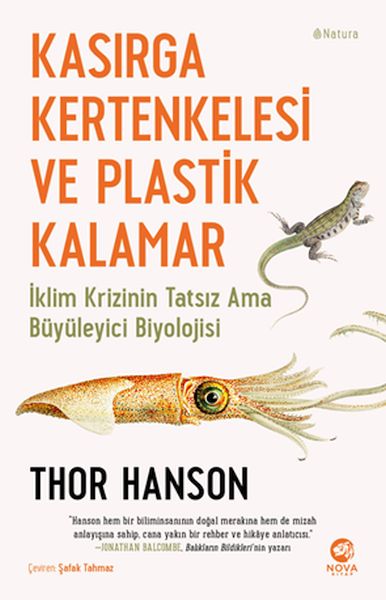 kasirga-kertenkelesi-ve-plastik-kalamar-229559