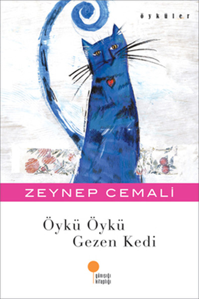 oyku-oyku-gezen-kedi