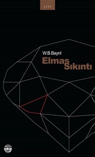 elmas-sikinti