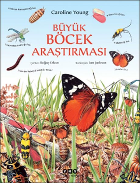 buyuk-bocek-arastirmasi