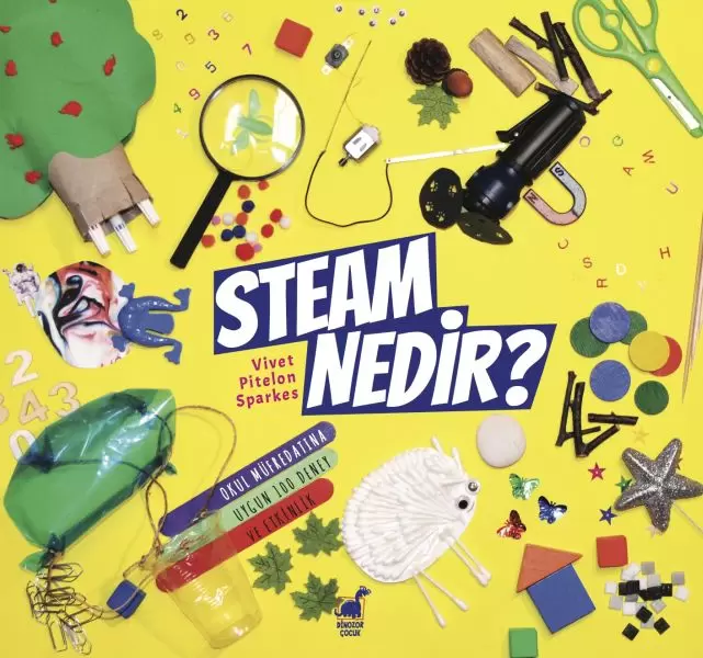 steam-nedir