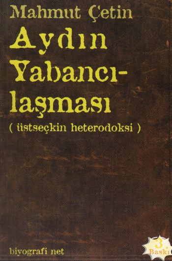 aydin-yabancilasmasi-ustseckin-heterodoksi