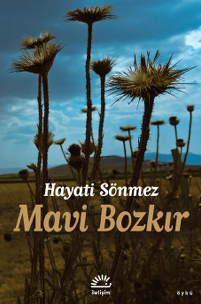 mavi-bozkir