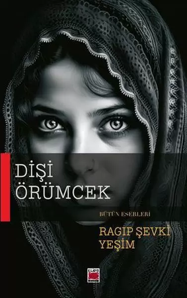 disi-orumcek-213409
