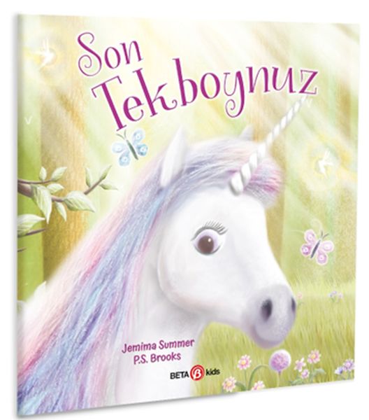 son-unicorn-tekboynuz