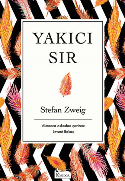 yakici-sir-bez-ciltli