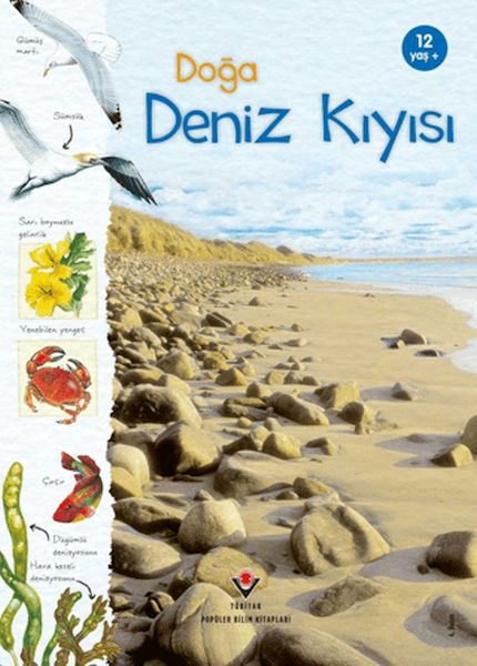 doga-deniz-kiyisi