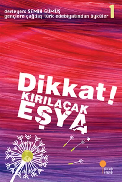 genclere-cagdas-turk-edebiyatindan-oykuler-1-dikkat-kirilacak-esya
