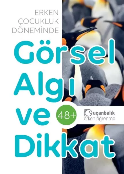 gorsel-algi-ve-dikkat-48