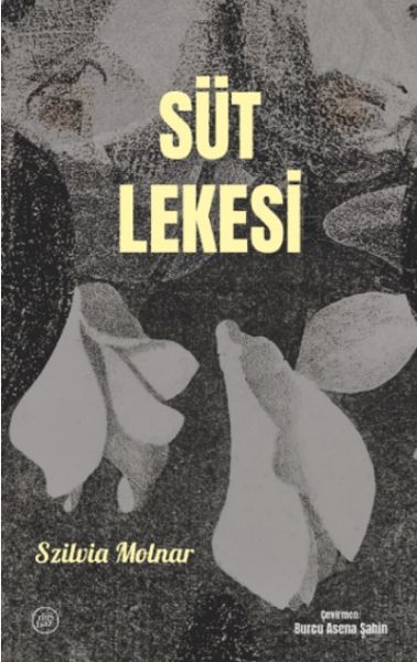 sut-lekesi-84012