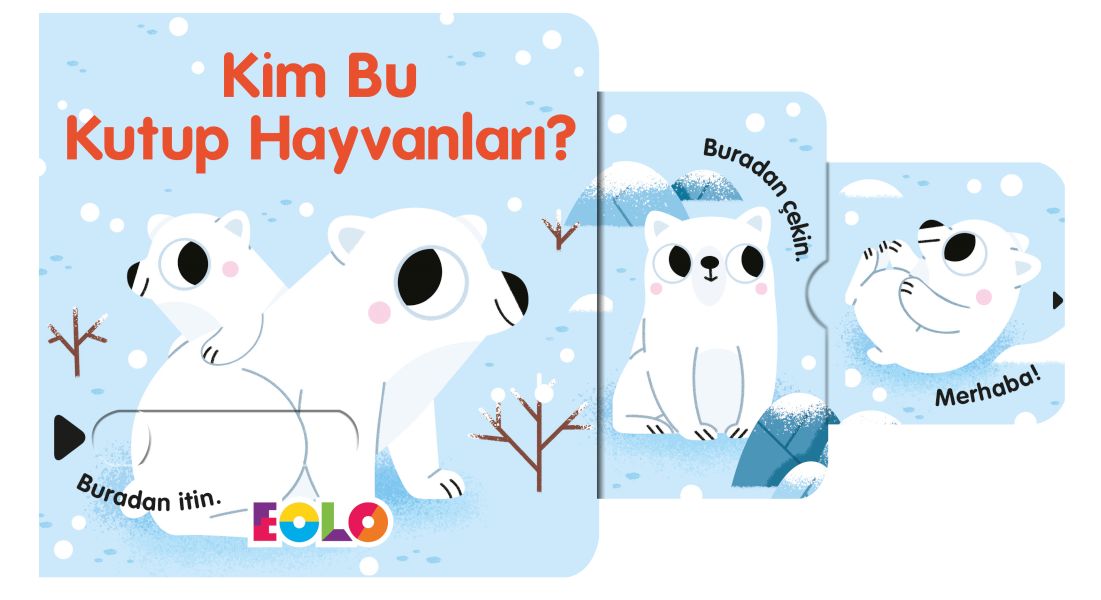 kim-bu-kutup-hayvanlari-surgulu-kitaplar