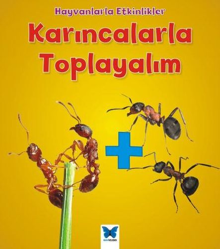 hayvanlarla-etkinlikler-karincalarla-toplayalim