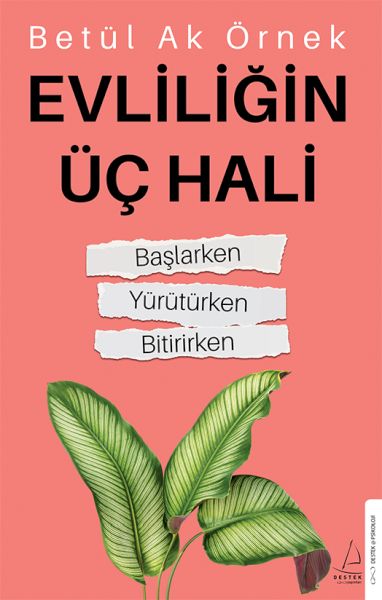 evliligin-uc-hali