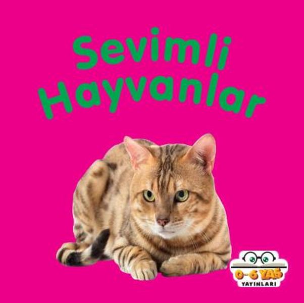 sevimli-hayvanlar-mini-karton-kitaplar