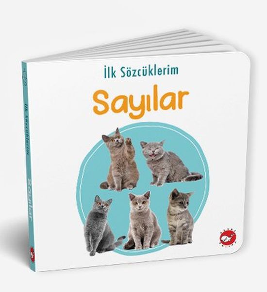 ilk-sozcuklerim-sayilar