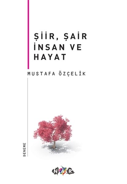 siir-sair-insan-ve-hayat